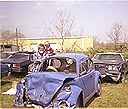 O'Gorman & Bug