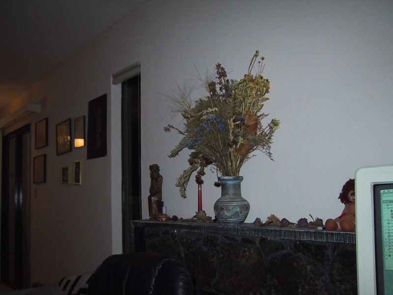 100-0032_IMG.JPG
