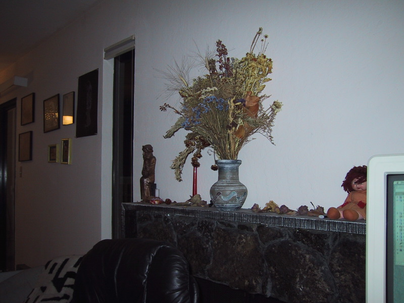 100-0035_IMG.JPG