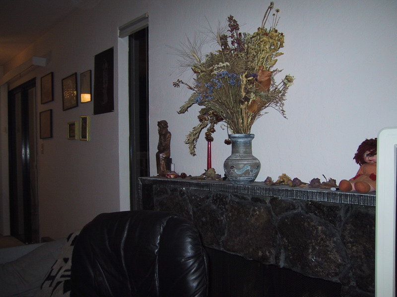 100-0037_IMG.JPG