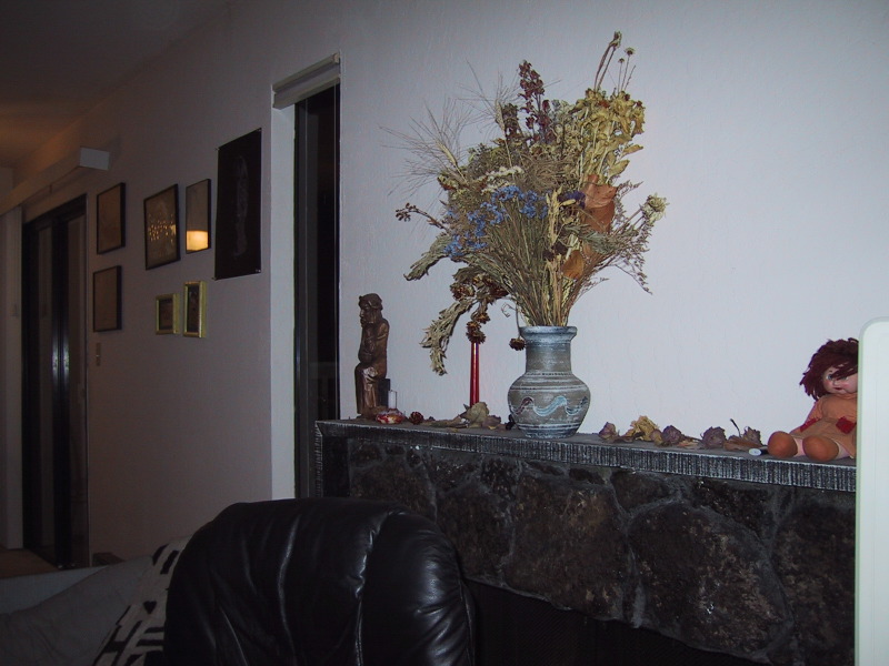 100-0038_IMG.JPG