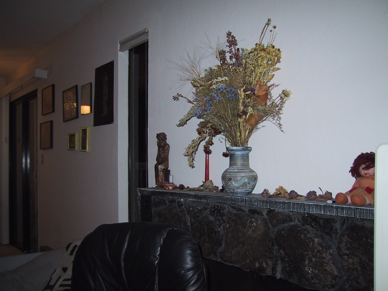 100-0039_IMG.JPG