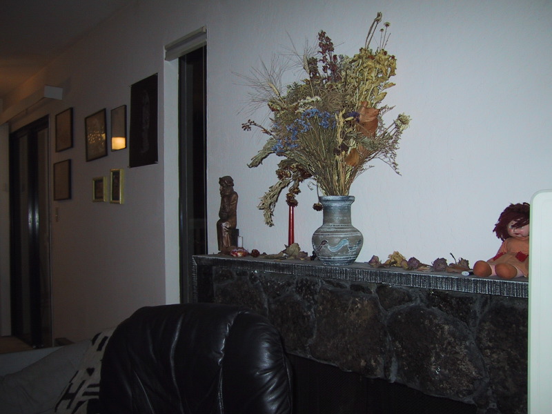 100-0040_IMG.JPG