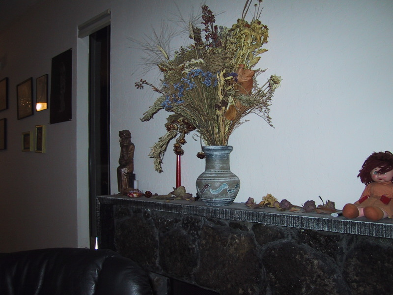 100-0049_IMG.JPG
