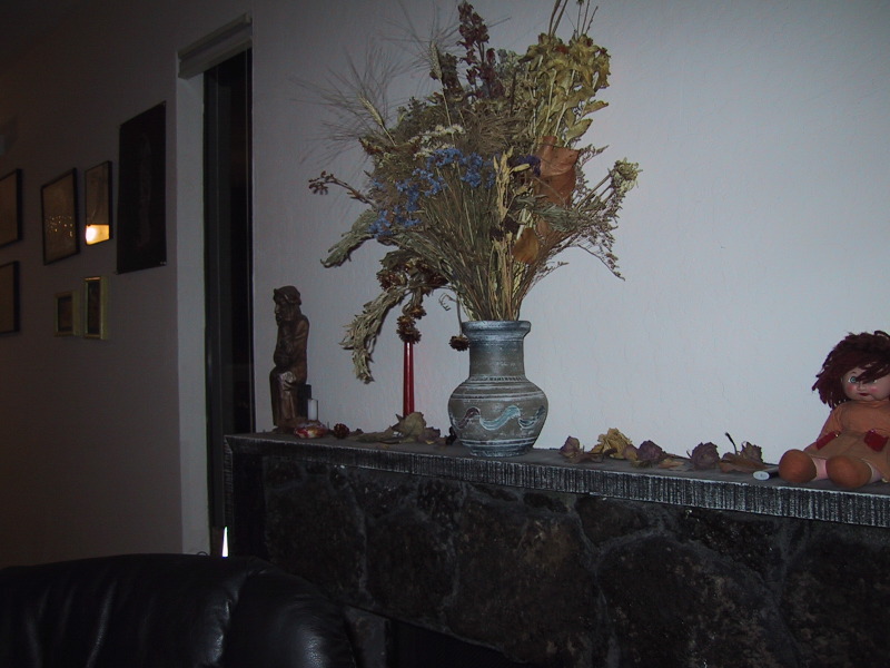100-0050_IMG.JPG
