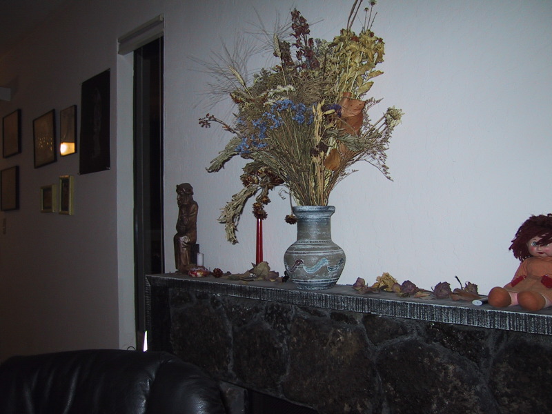 100-0051_IMG.JPG