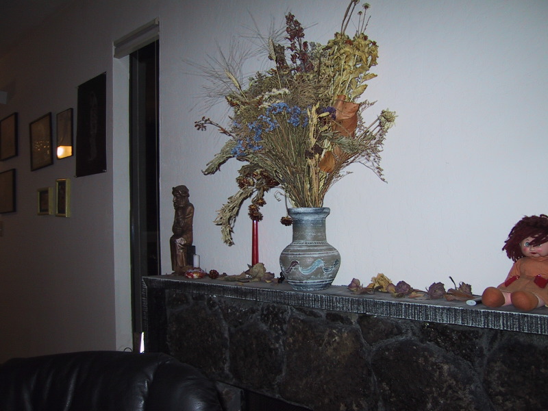 100-0052_IMG.JPG