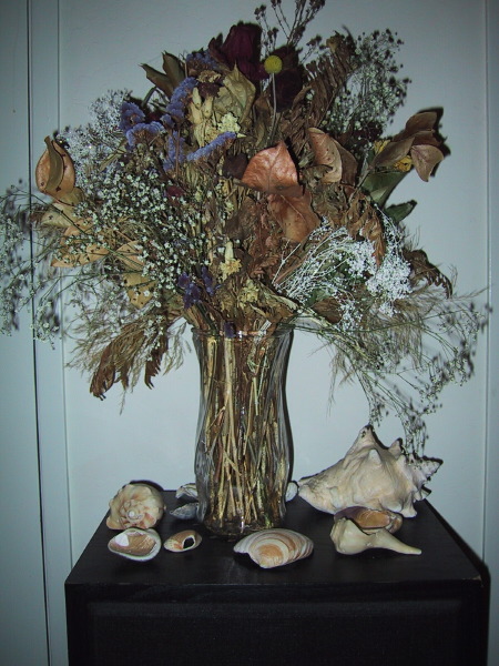 100-0054_IMG.JPG