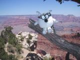 Dogbert