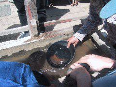 IMG_1459.JPG