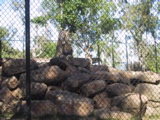 IMG_2136.JPG