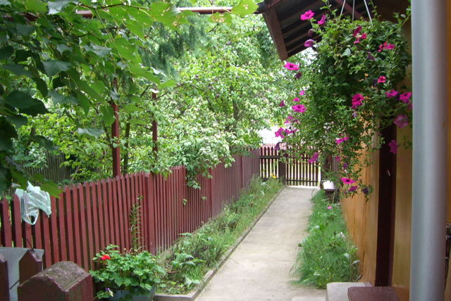 CIMG0268.JPG