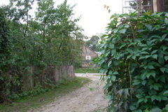CIMG0256.JPG