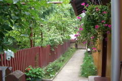 CIMG0268.JPG